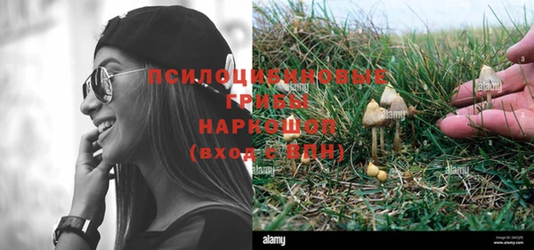 амфетамин Гусь-Хрустальный