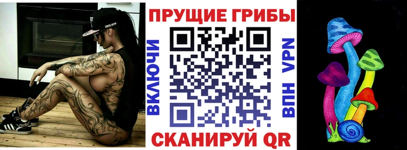 Галлюциногенные грибы Cubensis  Новая Ладога 